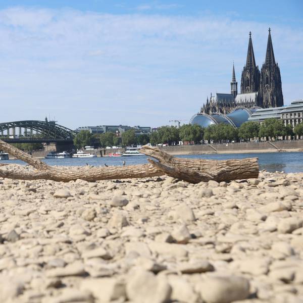 Niedriger Rheinpegel in Köln. Dom im Hintergrund.