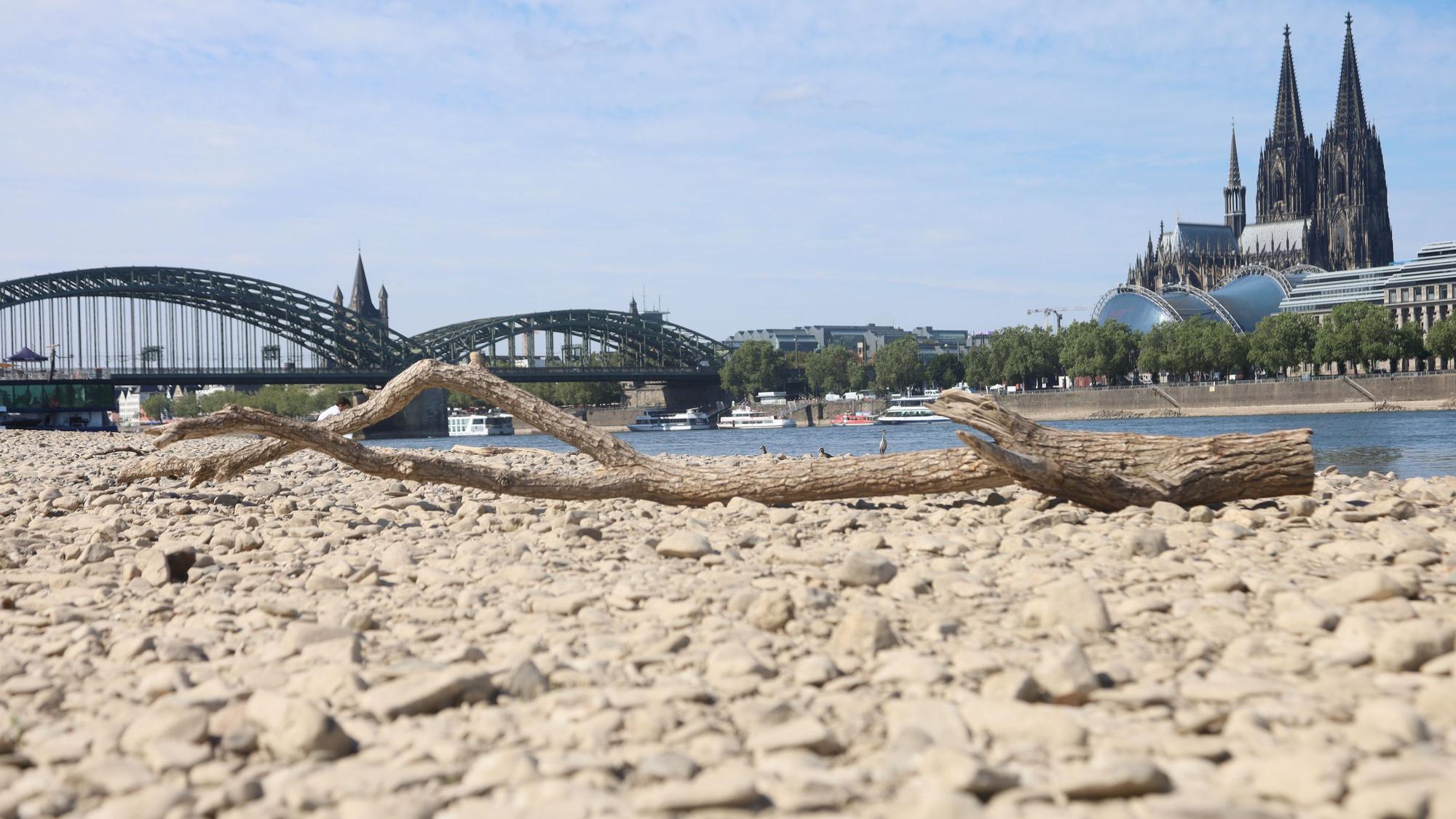 Niedriger Rheinpegel in Köln. Dom im Hintergrund.