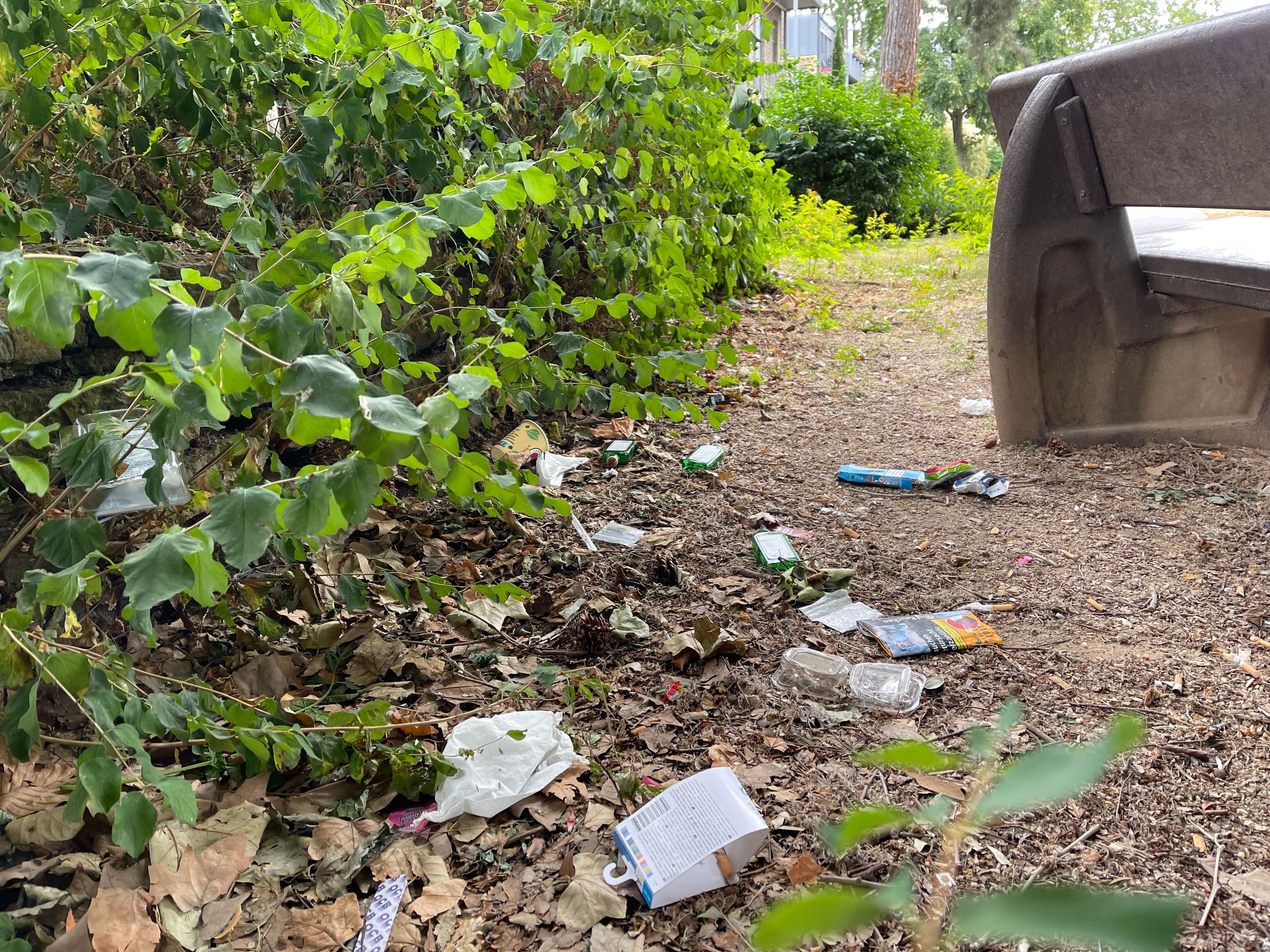 Hinter einer Parkbank liegen Flaschen, Verpackungsmüll und anderer Unrat.