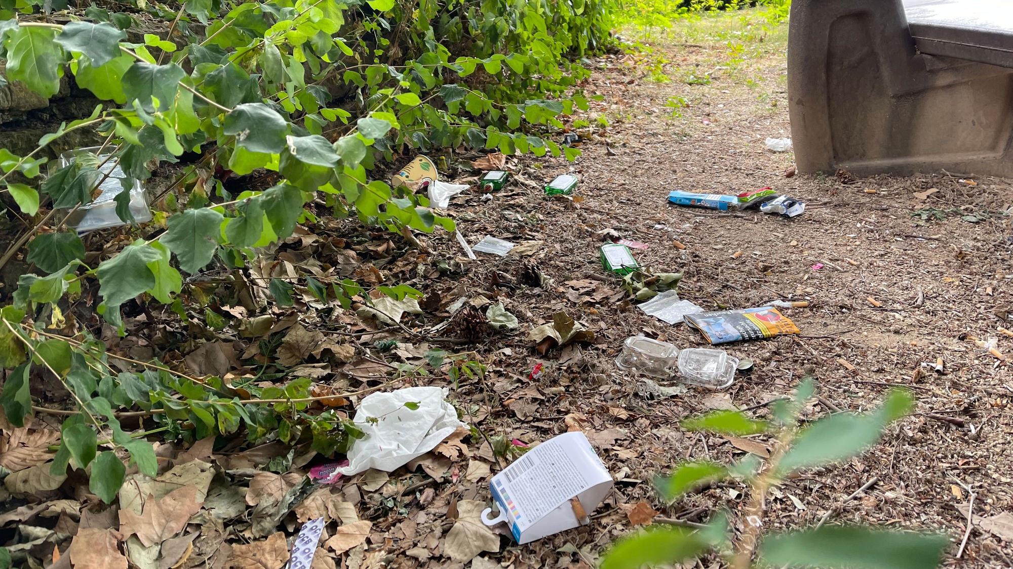 Hinter einer Parkbank liegen Flaschen, Verpackungsmüll und anderer Unrat.