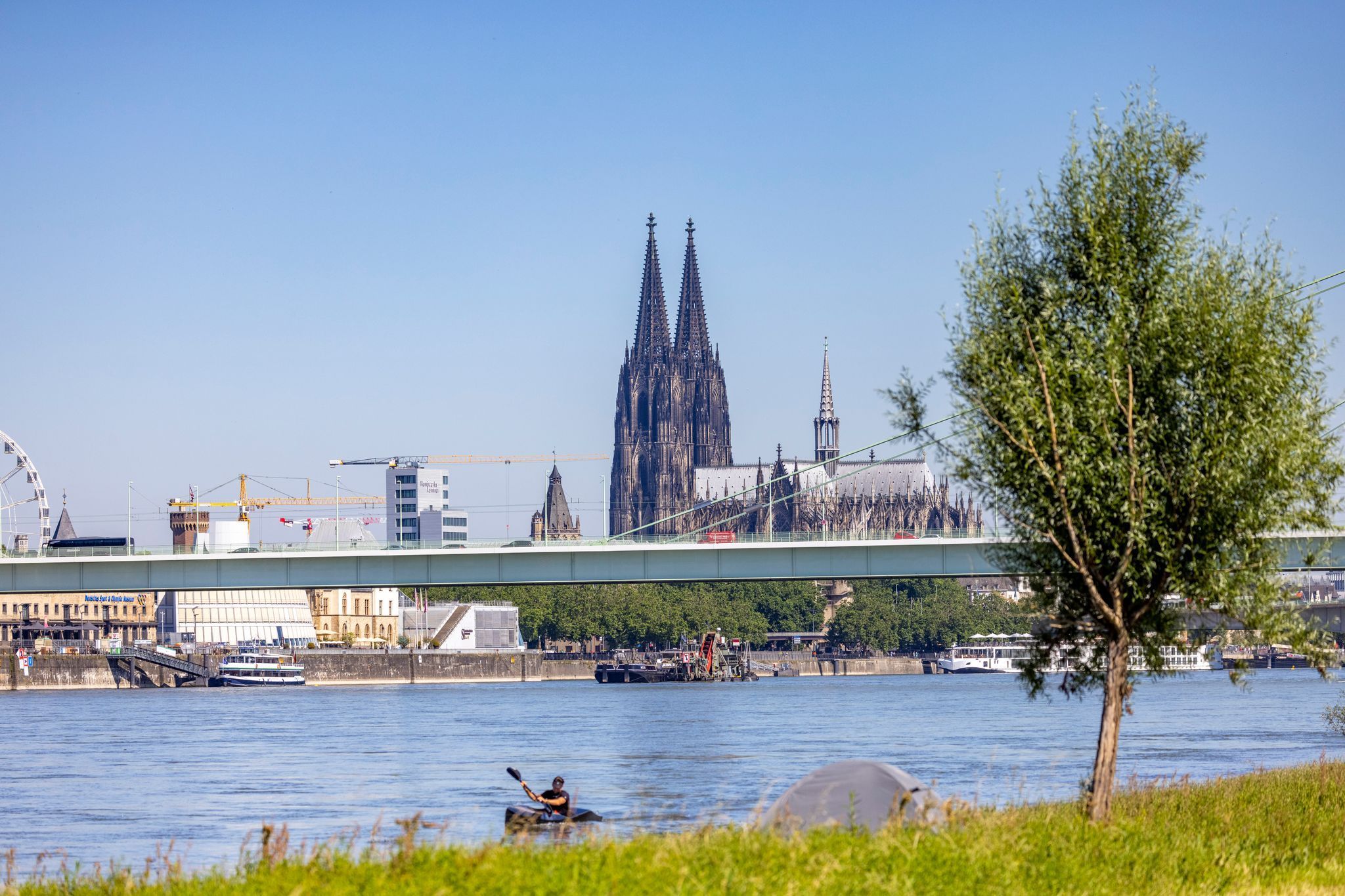 Der Rhein bei Köln im Sommer, im Hintergrund der Dom