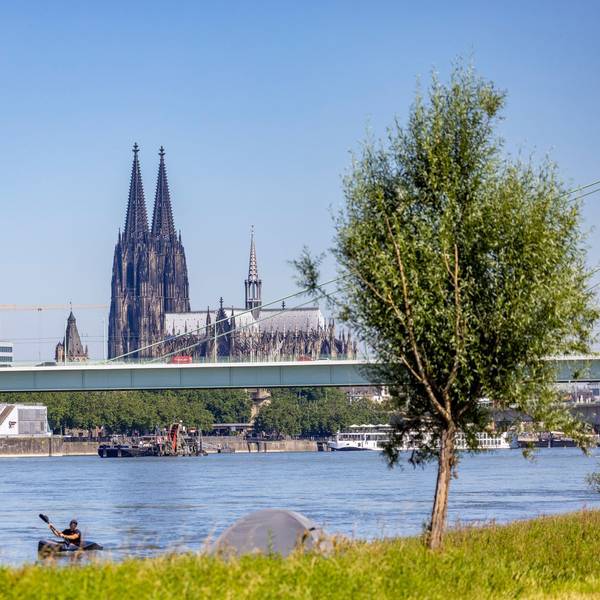 Der Rhein bei Köln im Sommer, im Hintergrund der Dom