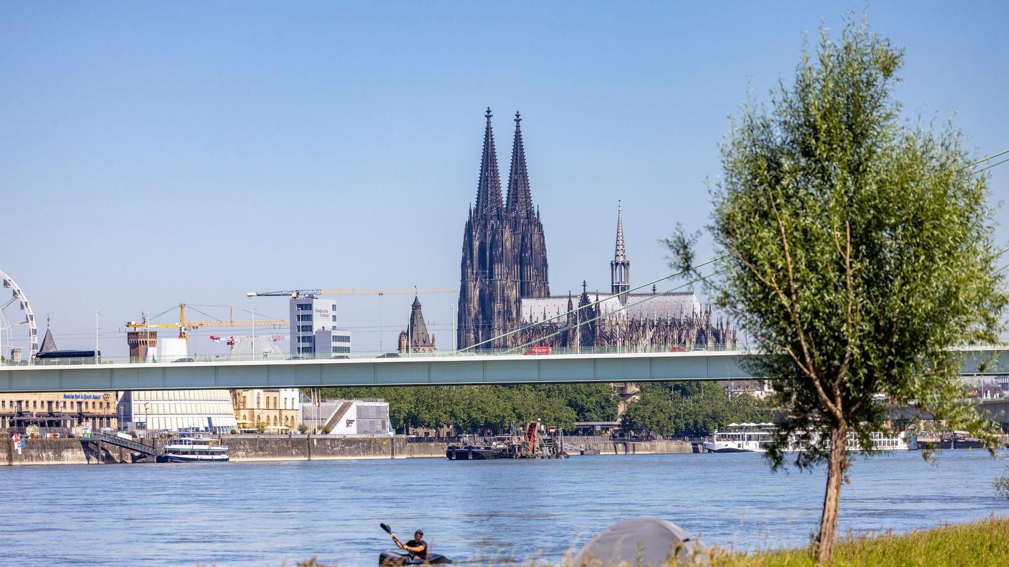 Der Rhein bei Köln im Sommer, im Hintergrund der Dom