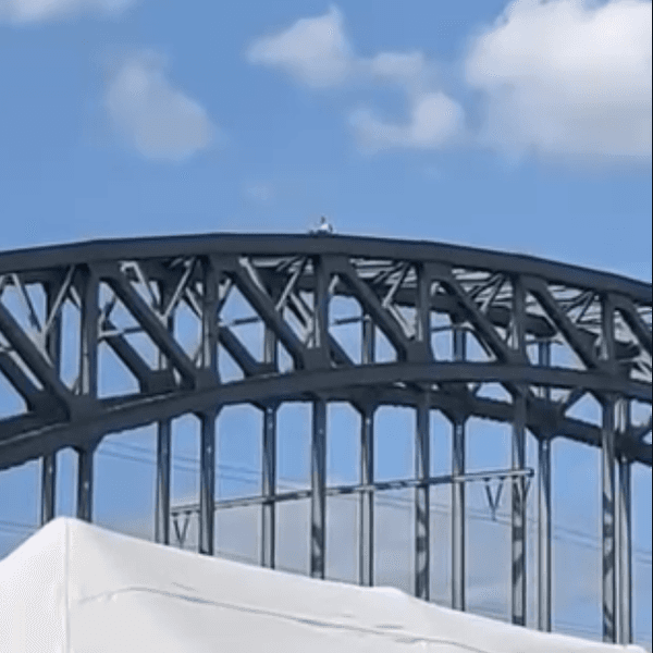 Eine Frau sitzt auf der Südbrücke. Der Bahnverkehr wurde zeitweise gestoppt.
