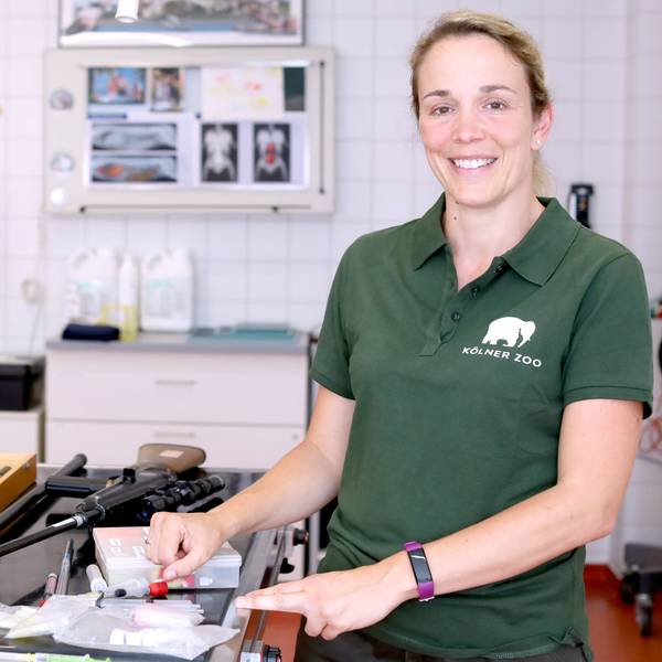 13.07.2026, Köln: Reportage Kölner Zoo mit Tierärztin Dr. Sandra Marcordes. Ein Beteubungsgewehr und oder ein Highspeed Blasrohr gehören auch zu den Werkzeugen womit sich die Tierärztin auskennen muss. Foto: Arton Krasniqi