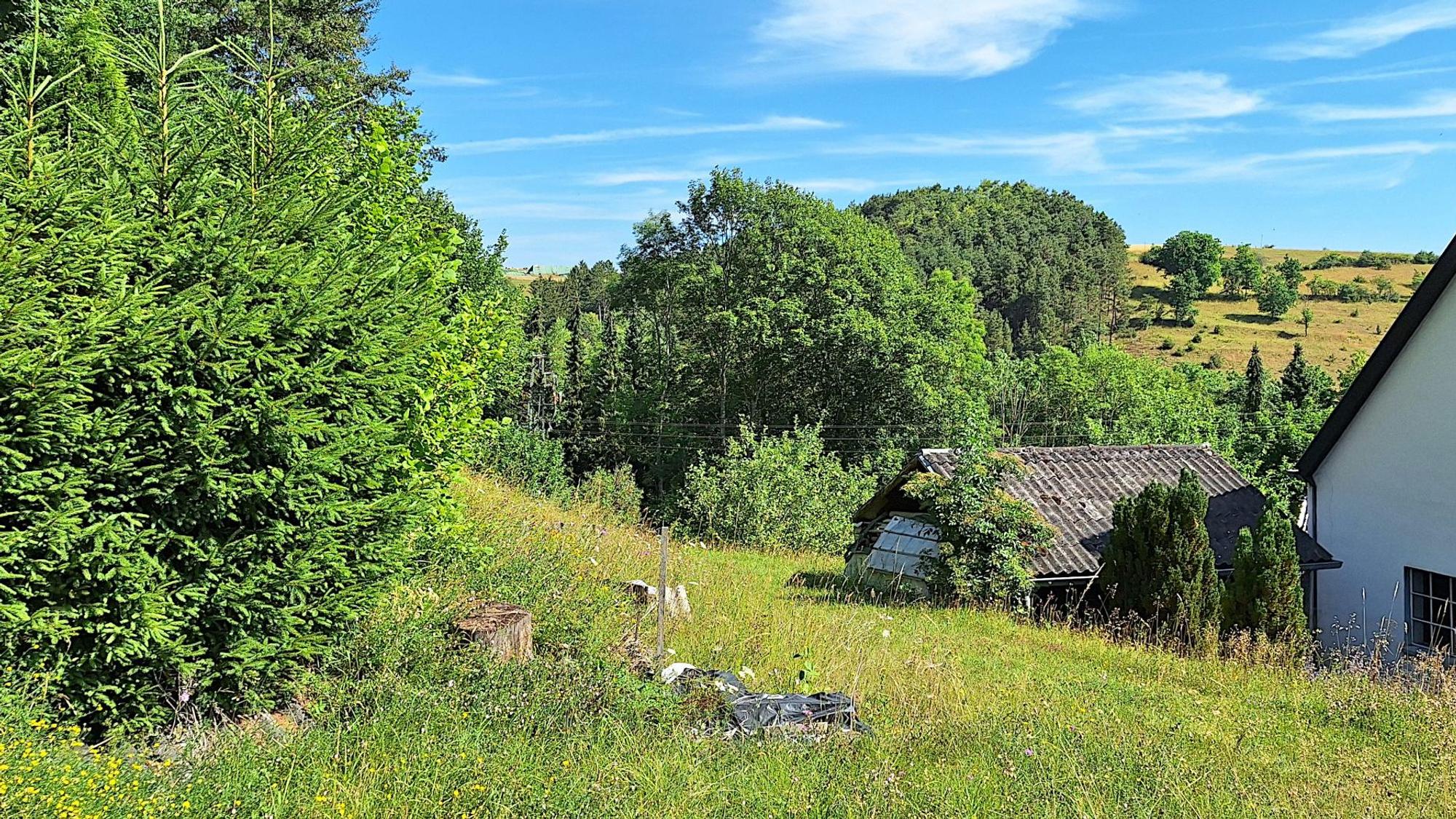 Das Bild zeigt einen grünen, bewachsenen Hang.