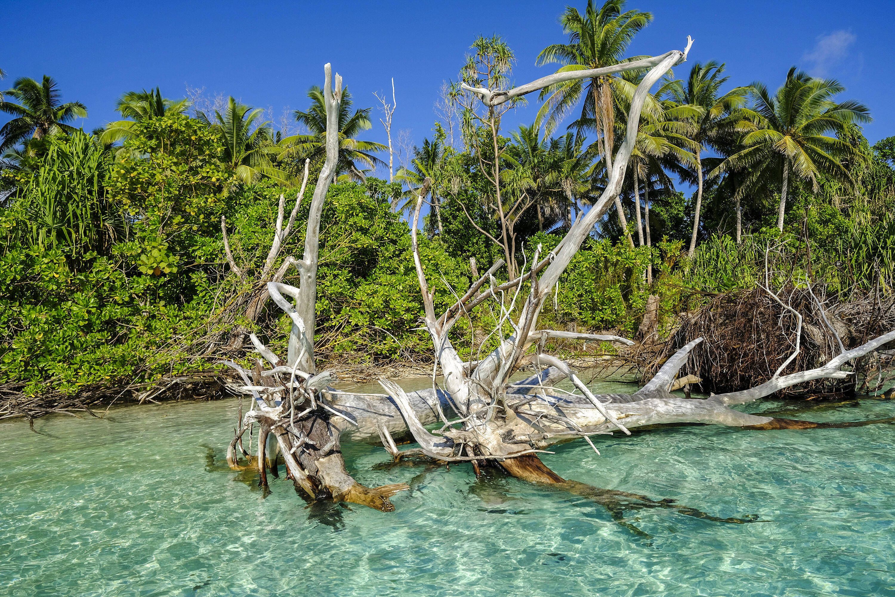 Tuvalu-Strand