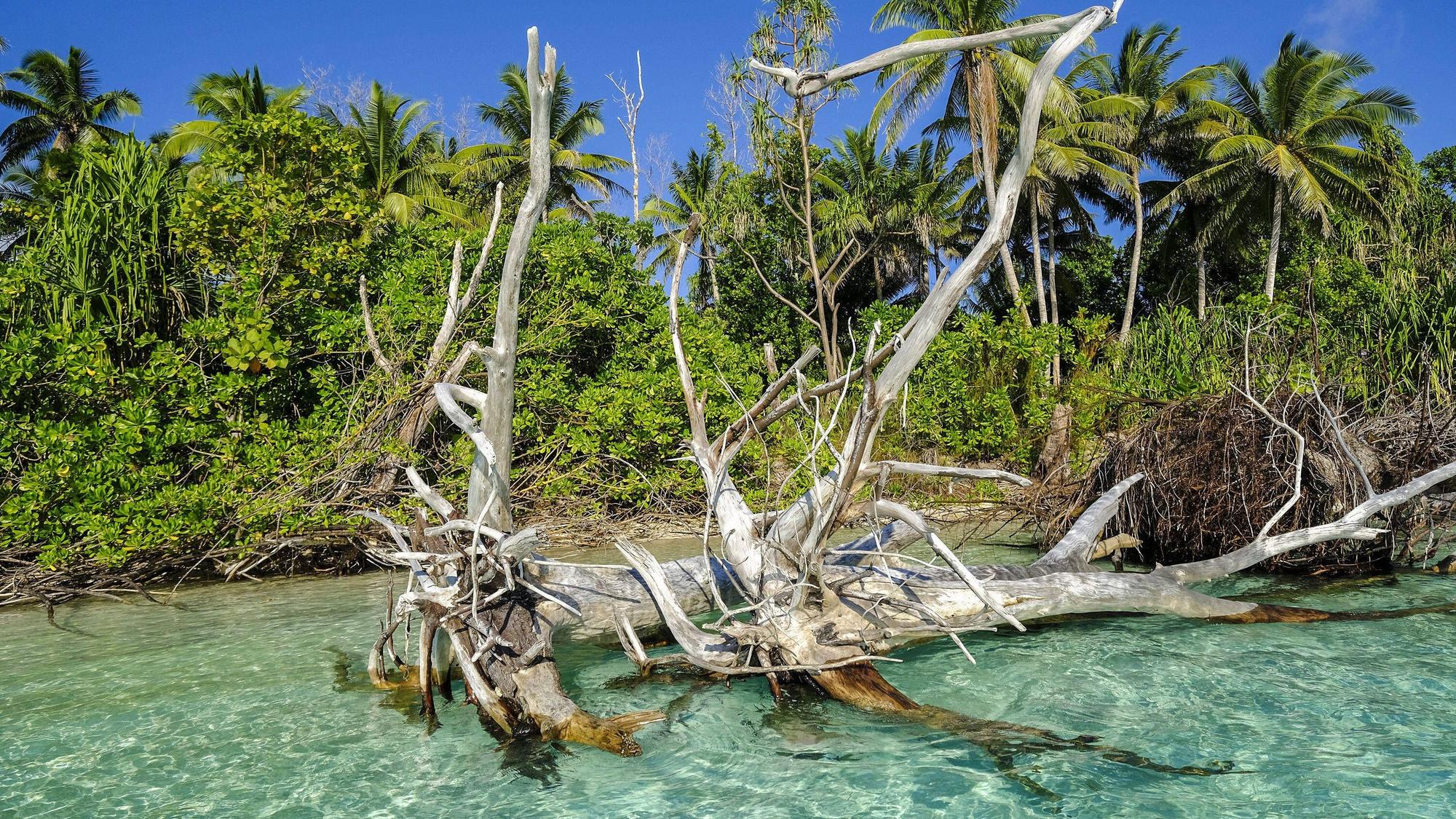 Tuvalu-Strand
