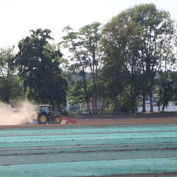 Ein Traktor bewirtschaftet ein Feld und wirbelt Staub auf.
