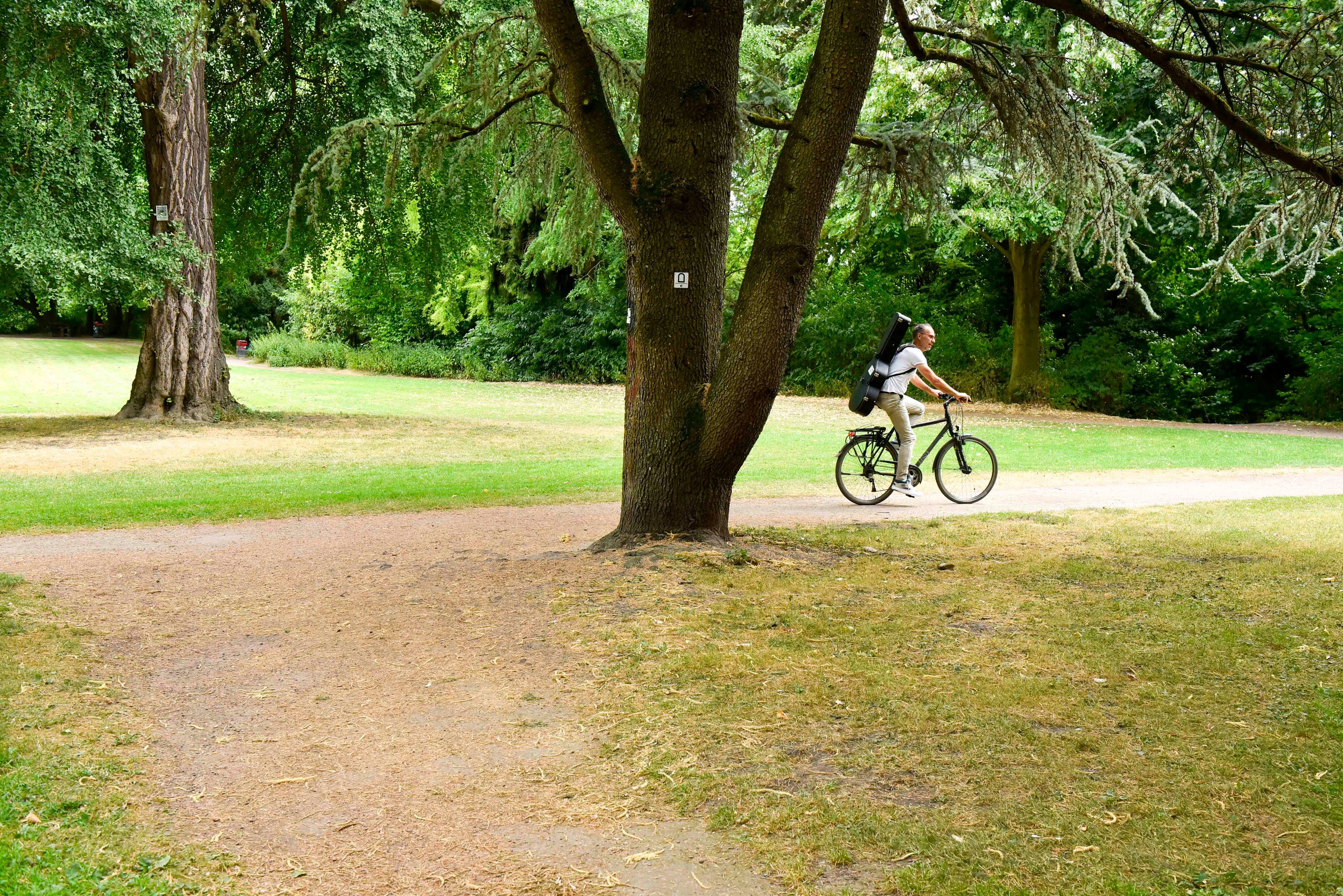 Ein Mann fährt auf einem Fahrrad durch einen Park.