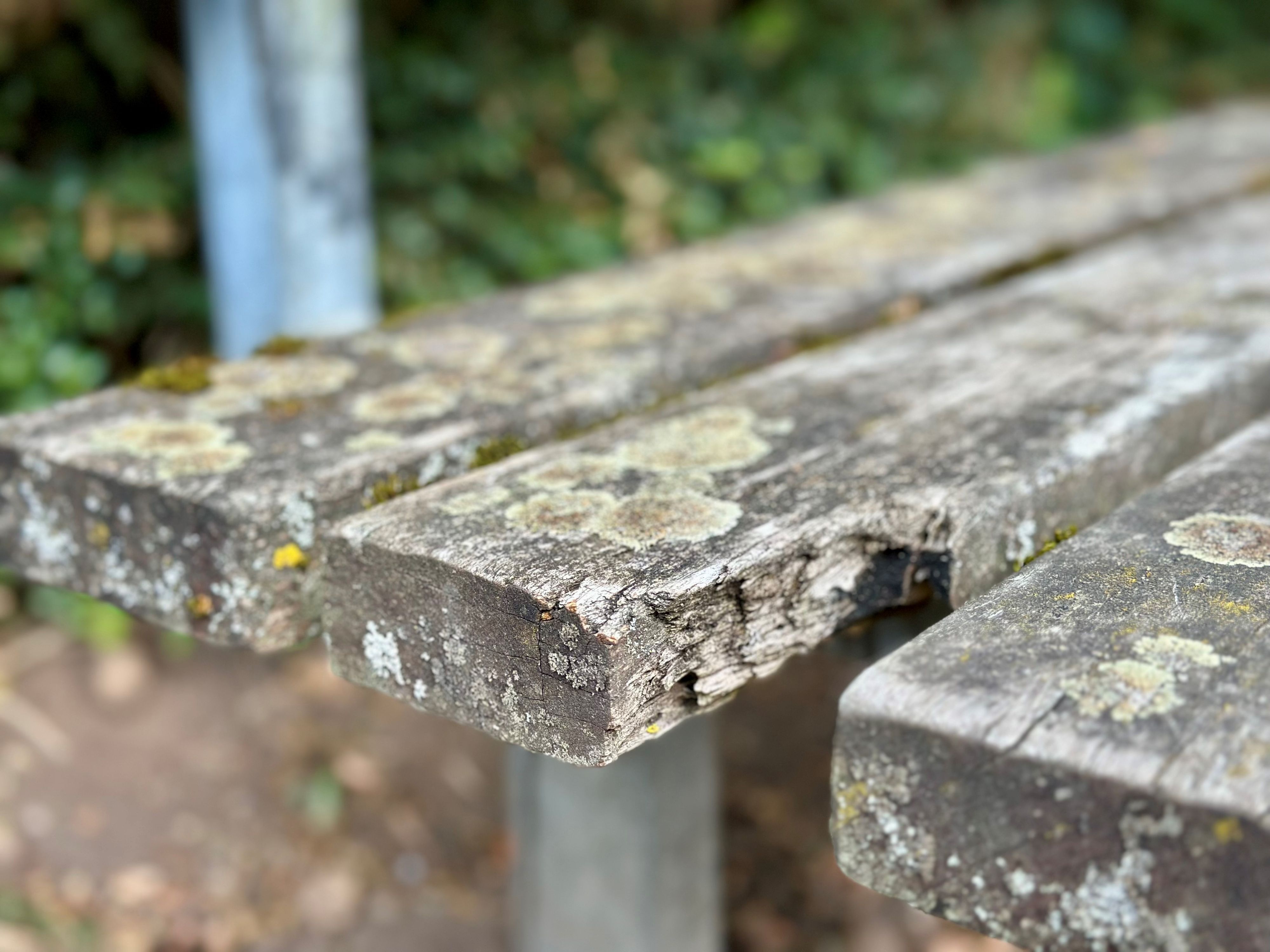An der Sitzfläche einer Bank ist ein Stück aus dem Holz abgebrochen.
