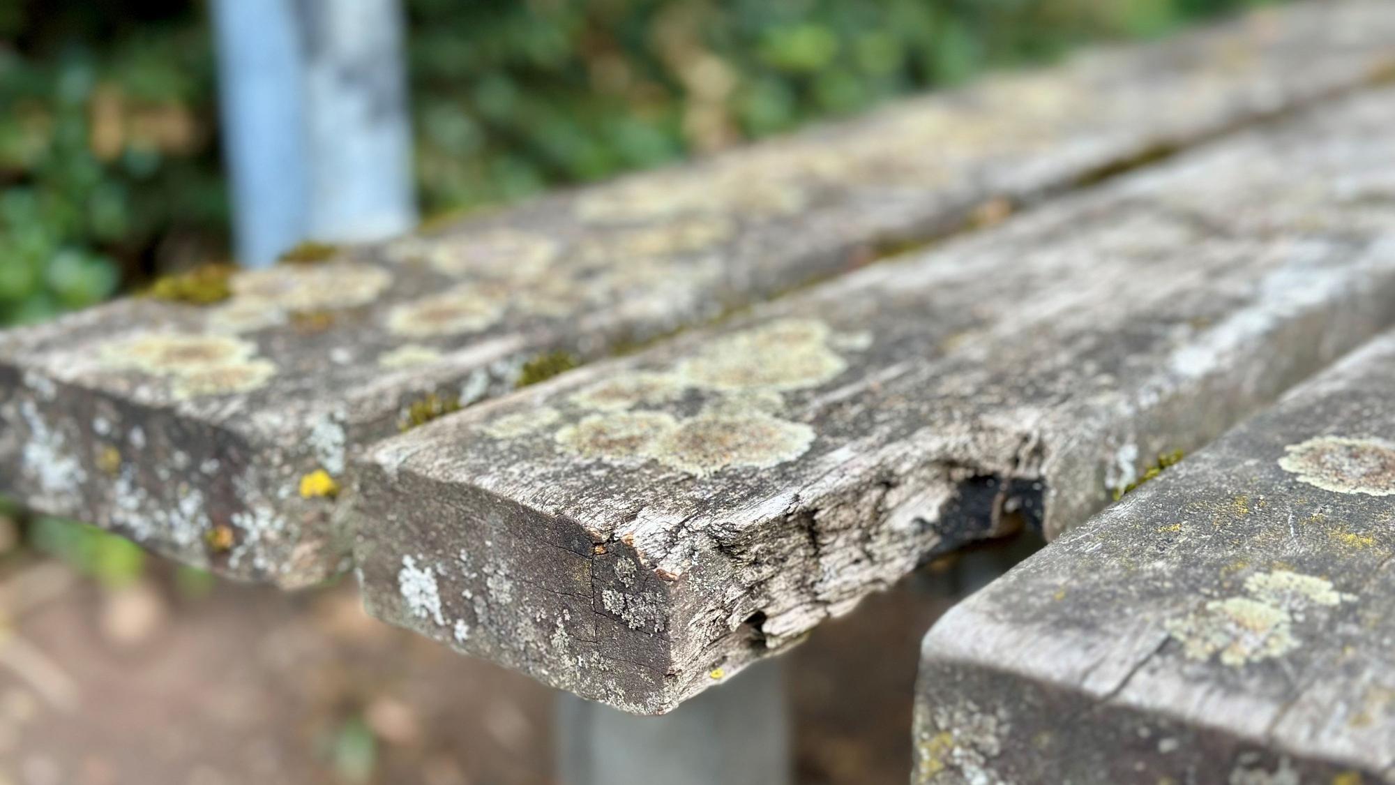 An der Sitzfläche einer Bank ist ein Stück aus dem Holz abgebrochen.