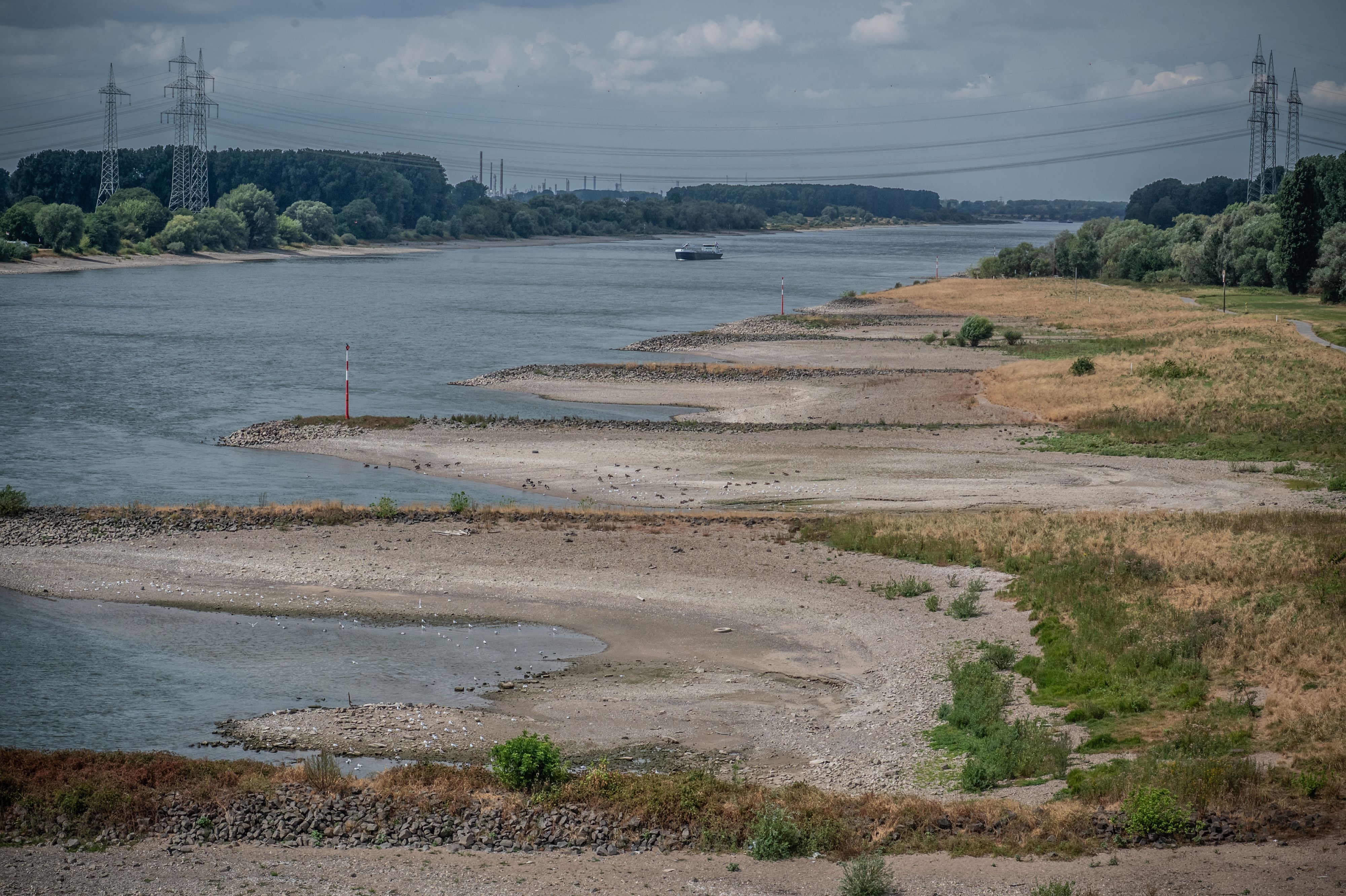 Am Rhein Niedrigwasser Strom Fluvius Rhenus Bild: Ralf Krieger