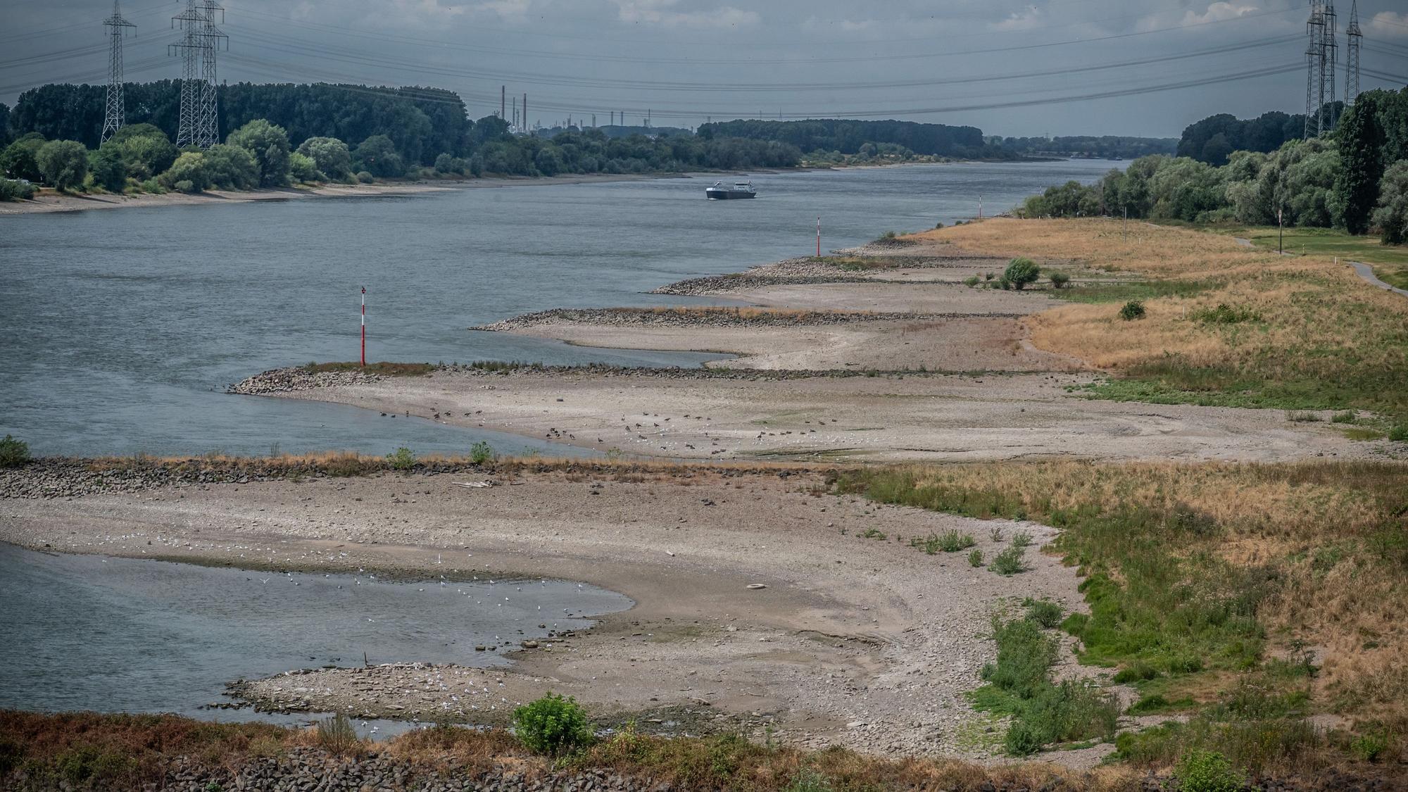 Am Rhein Niedrigwasser Strom Fluvius Rhenus Bild: Ralf Krieger
