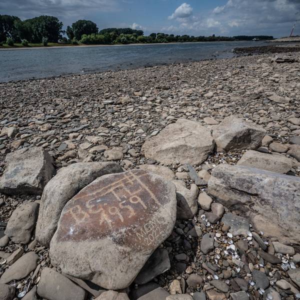 Am Rhein Niedrigwasser, Hungersteine. Bild: Ralf Krieger