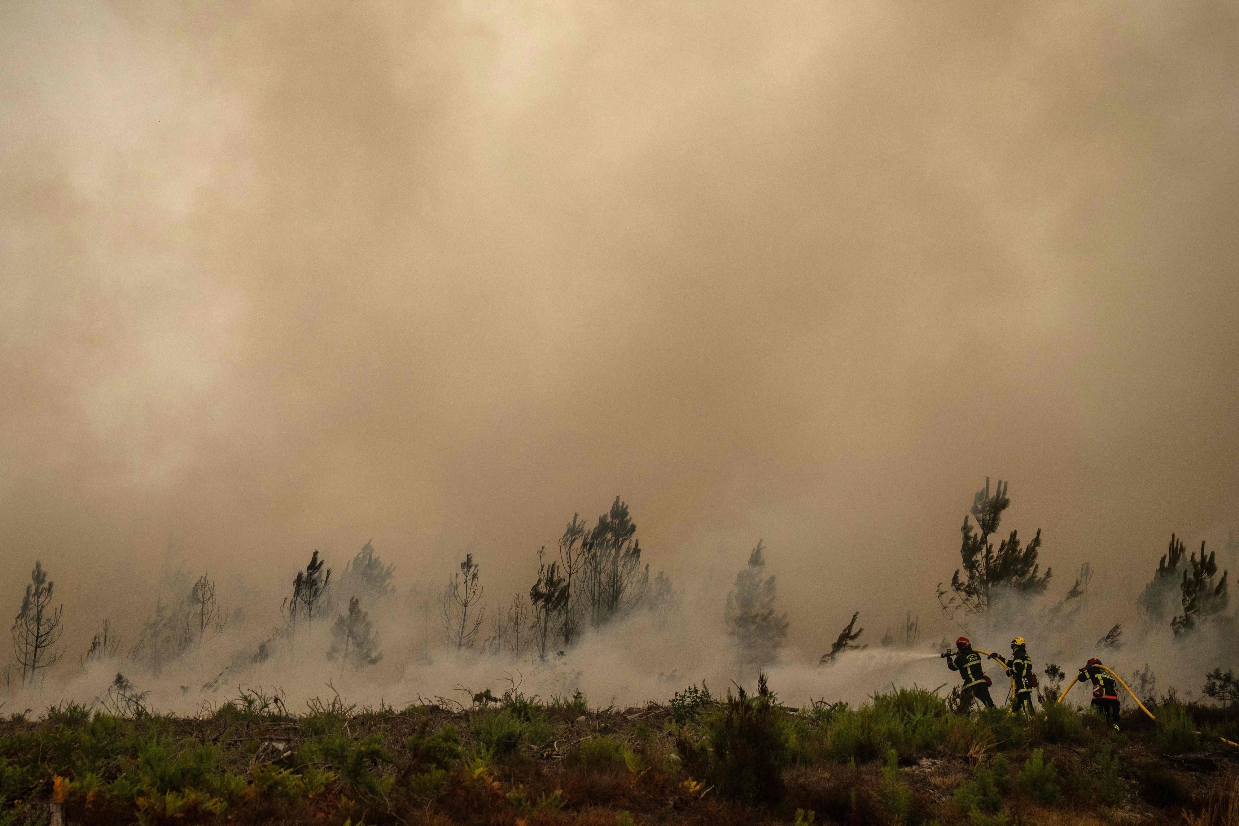 Feuerwehrleute spritzen bei einem Waldbrand in der Nähe der Stadt Lege-Cap-Feret im Südwesten Frankreichs Wasser.
