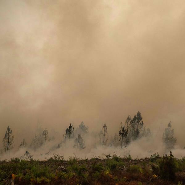 Feuerwehrleute spritzen bei einem Waldbrand in der Nähe der Stadt Lege-Cap-Feret im Südwesten Frankreichs Wasser.