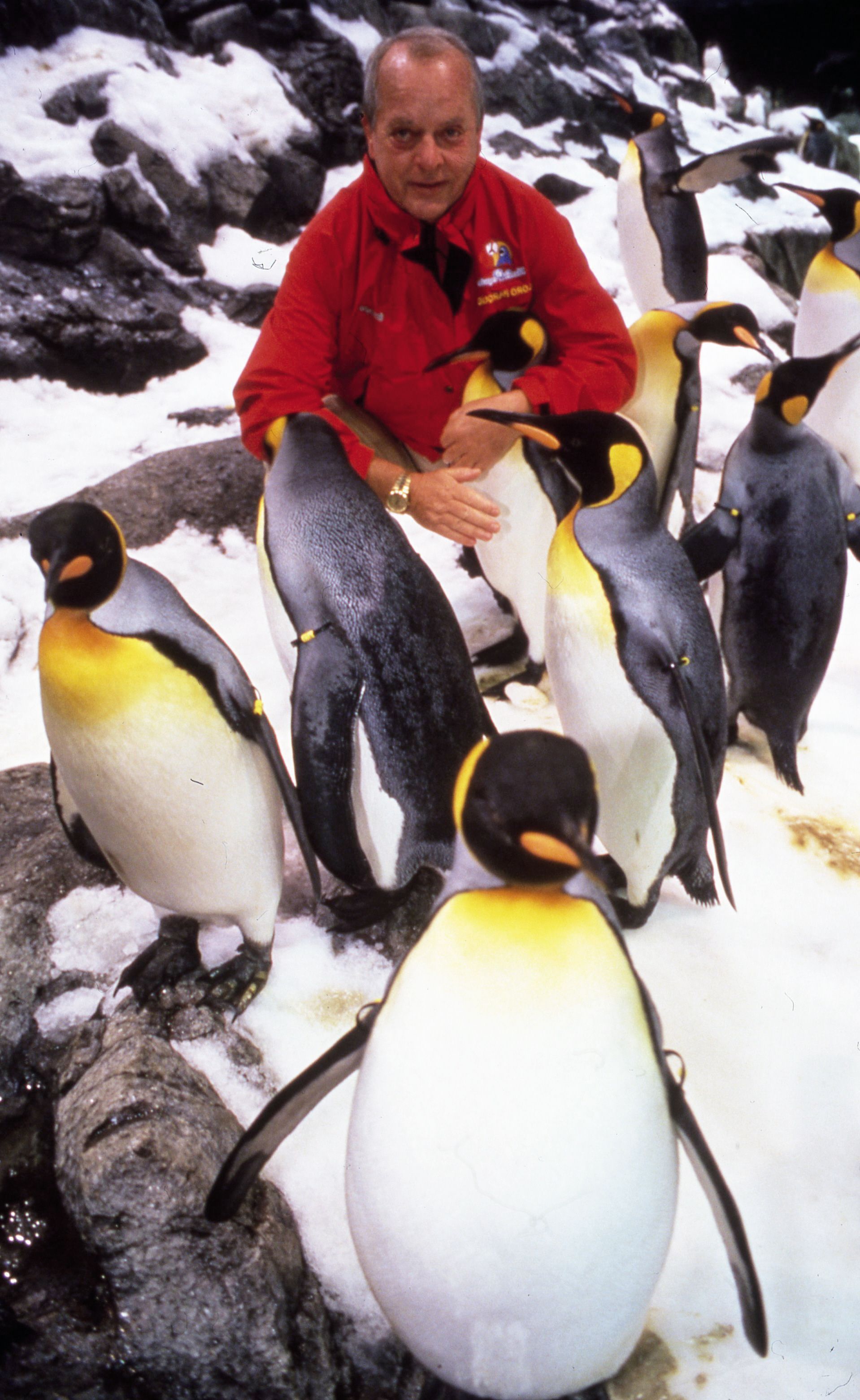 1999 eröffnet Kiessling das größte Pinguinarium der Welt. Täglich werden zwölf Tonnen Schnee für 200 Tiere erzeugt.