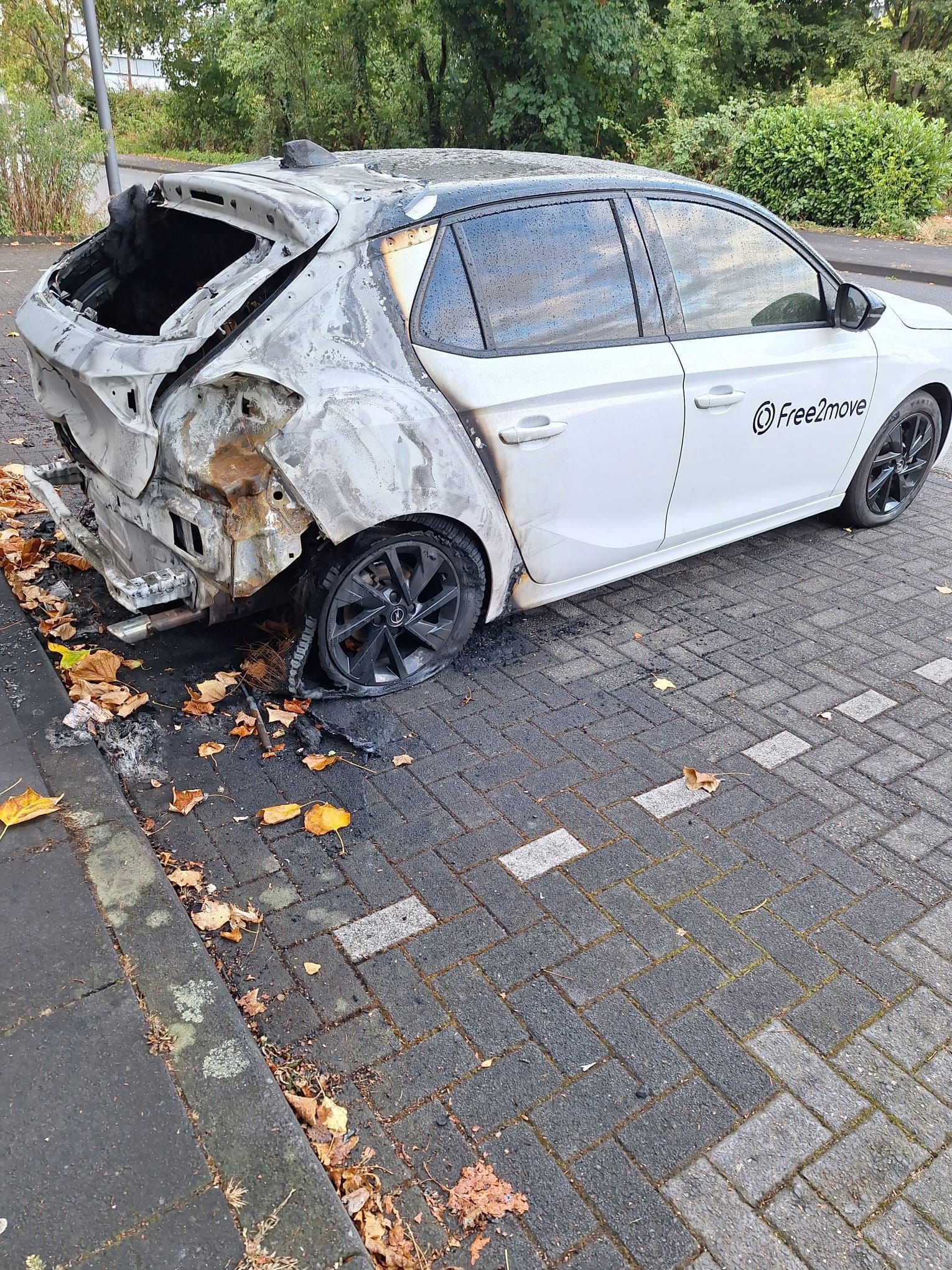 Am Grauen Stein sind am Wochenende zwei Leihwagen ausgebrannt.
