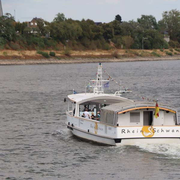 Ein Schiff fährt über den Rhein.