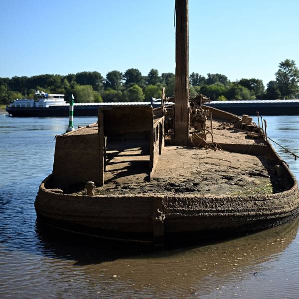 Ein Schiffswrack ist am Rhein zu sehen.