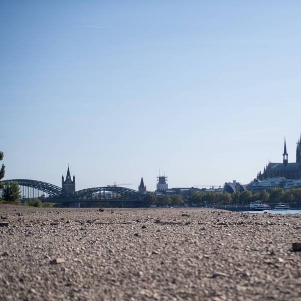 Niedrigwasser am Rhein in Köln