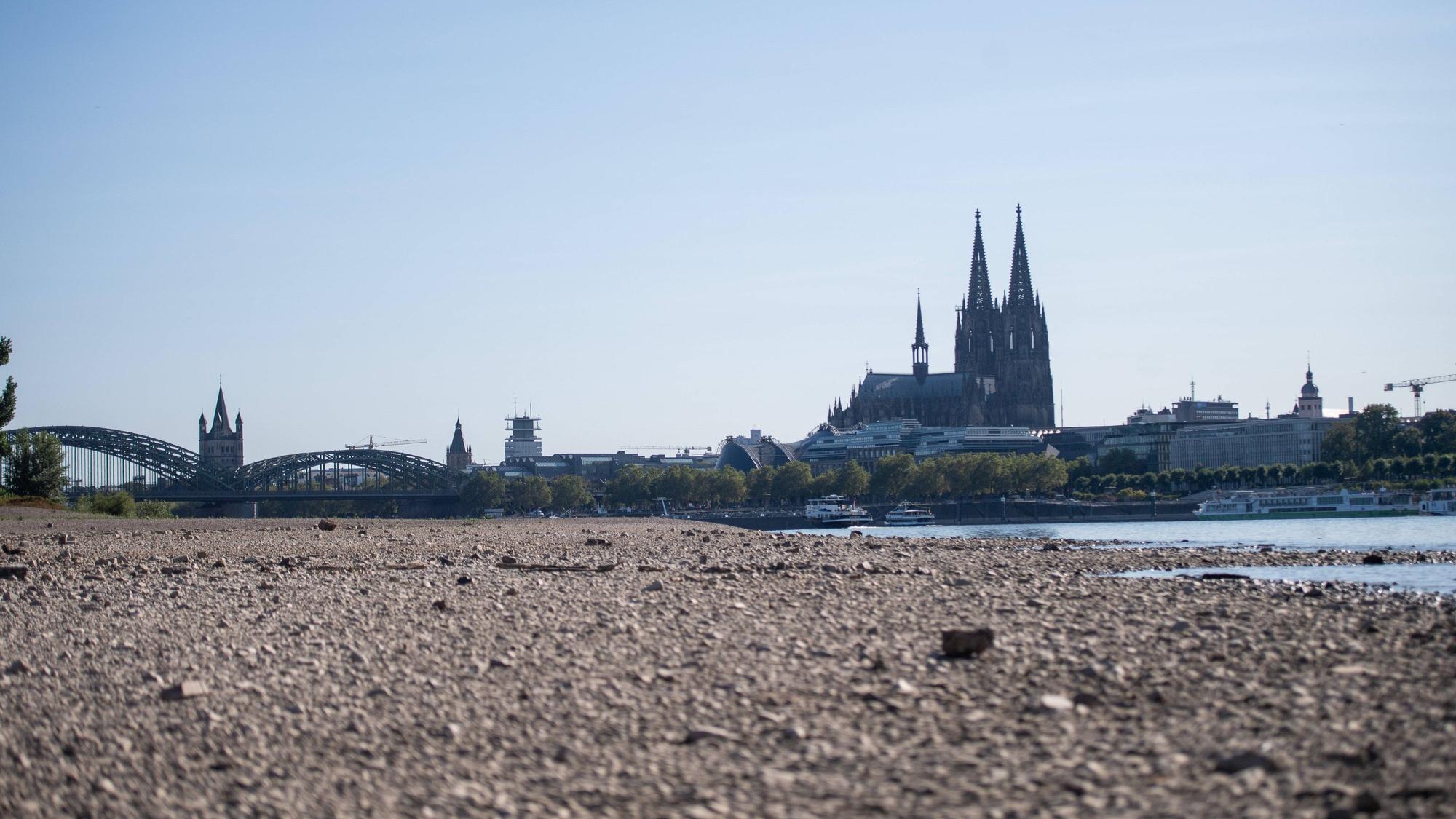 Niedrigwasser am Rhein in Köln