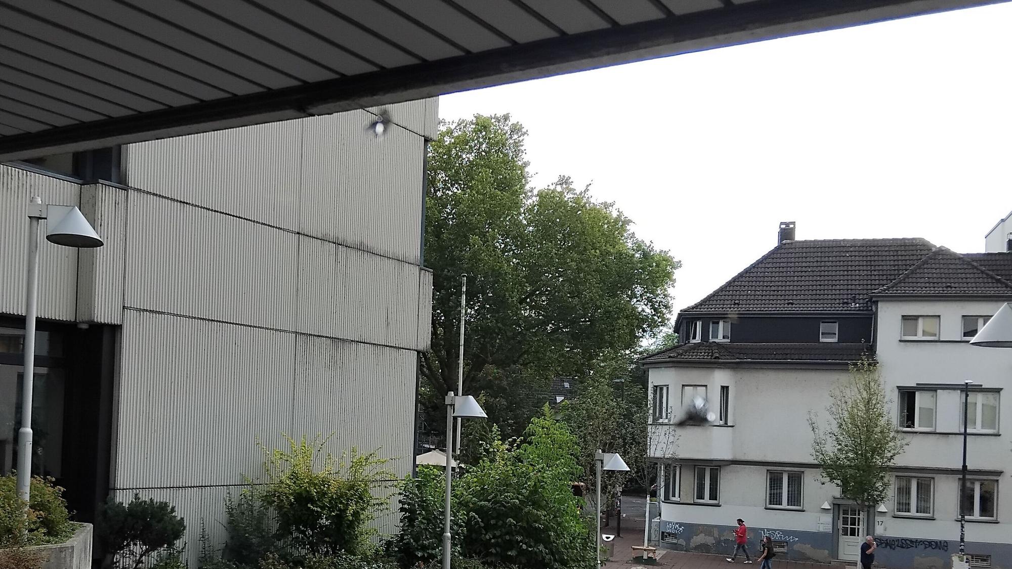 Zwei Löcher haben die Dartpfeile in der Eingangsscheibe des Amtsgerichts hinterlassen.