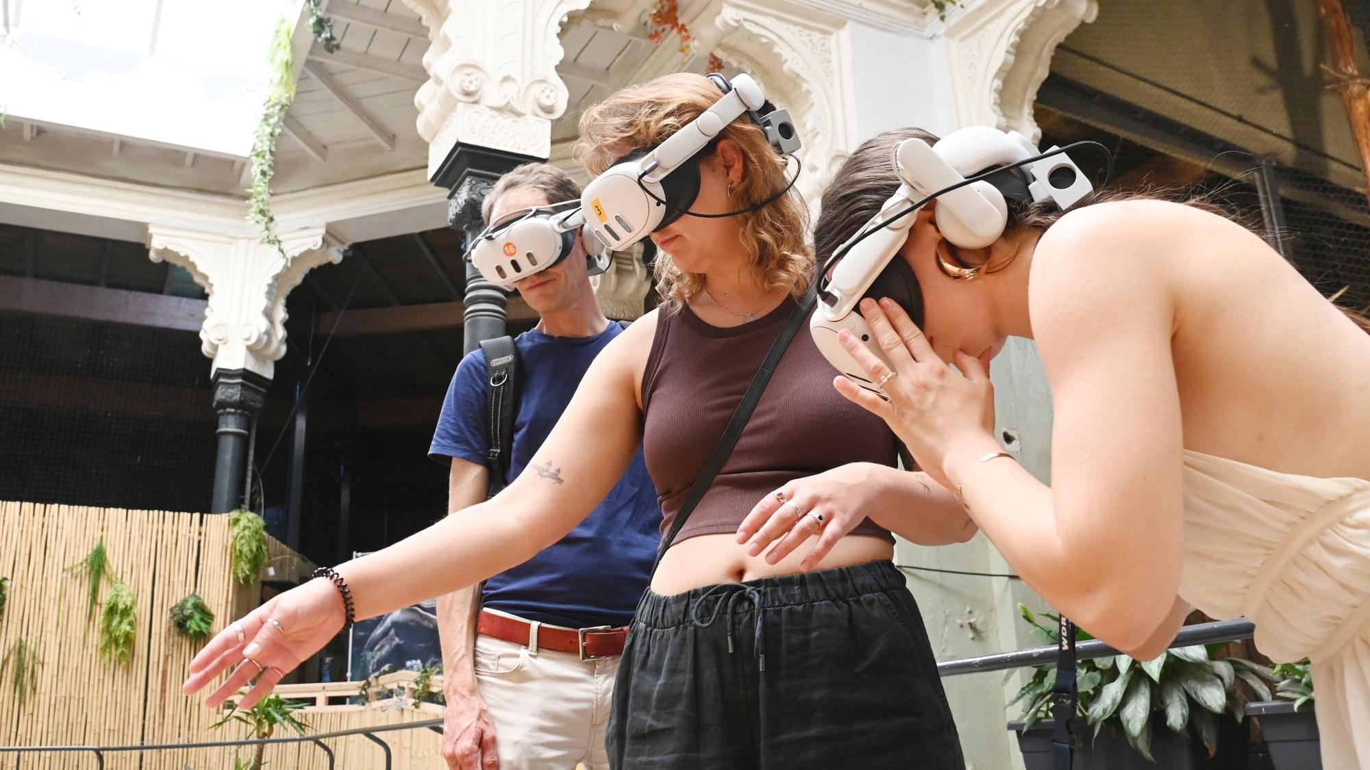 Besucher mit VR-Brillen beim neuen „Savanna VR“-Erlebnisses im Kölner Zoo