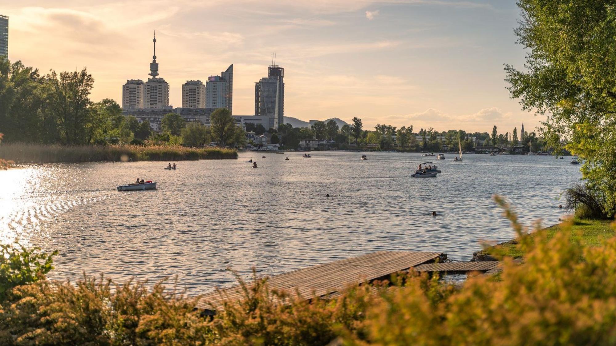 Als stehendes Gewässer ist die Alte Donau besonders anfällig. (Bild: iStock/Dejan Gjoshevski)