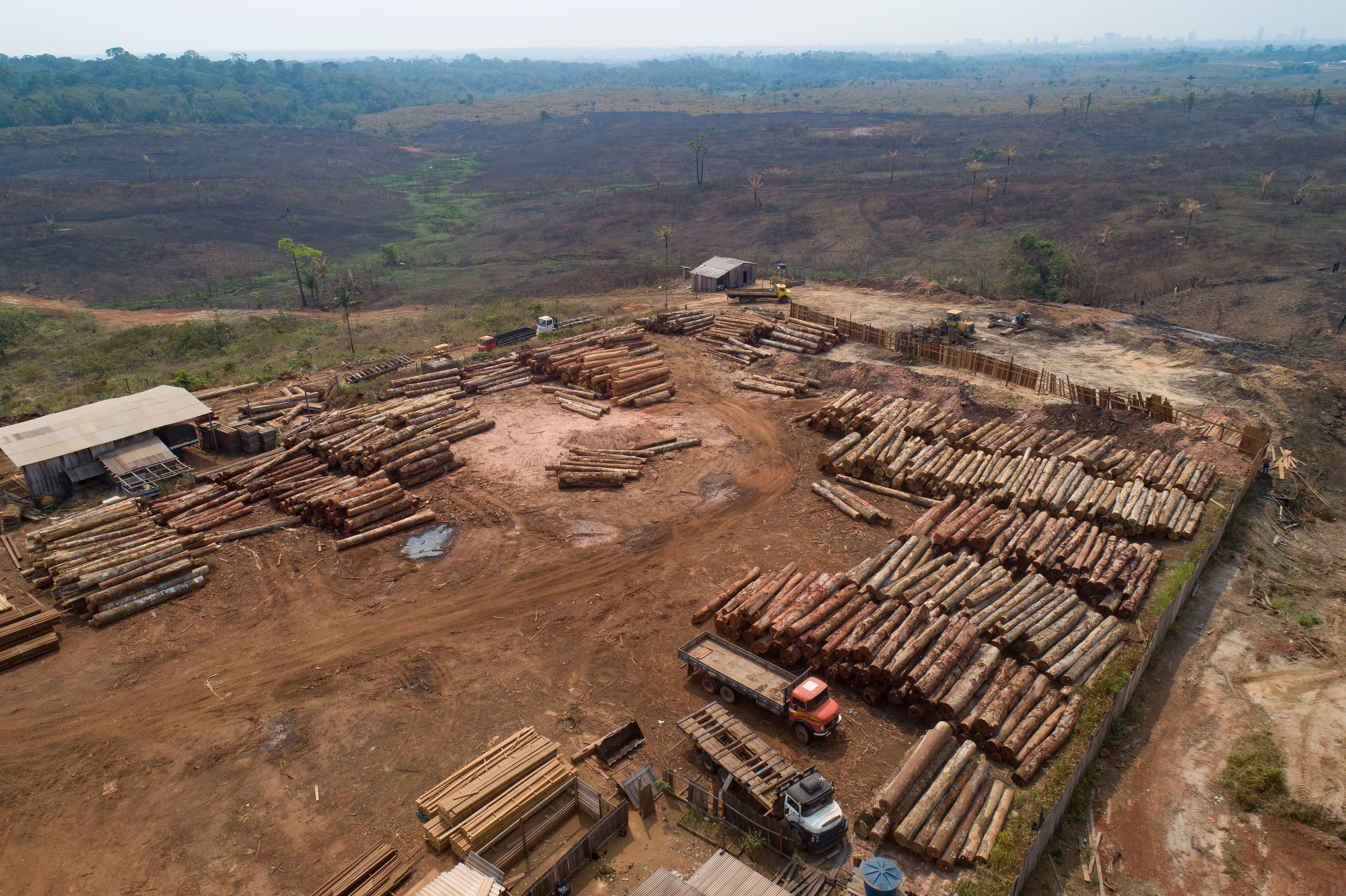 Brasilien, Porto Velho: Holzstämme werden in einem Sägewerk gestapelt, das von kürzlich verkohlten und abgeholzten Feldern umgeben ist. Bereits an diesem Donnerstag hat die Menschheit die für dieses Jahr verfügbaren natürlichen Ressourcen der Erde verbraucht. (Archivbild)