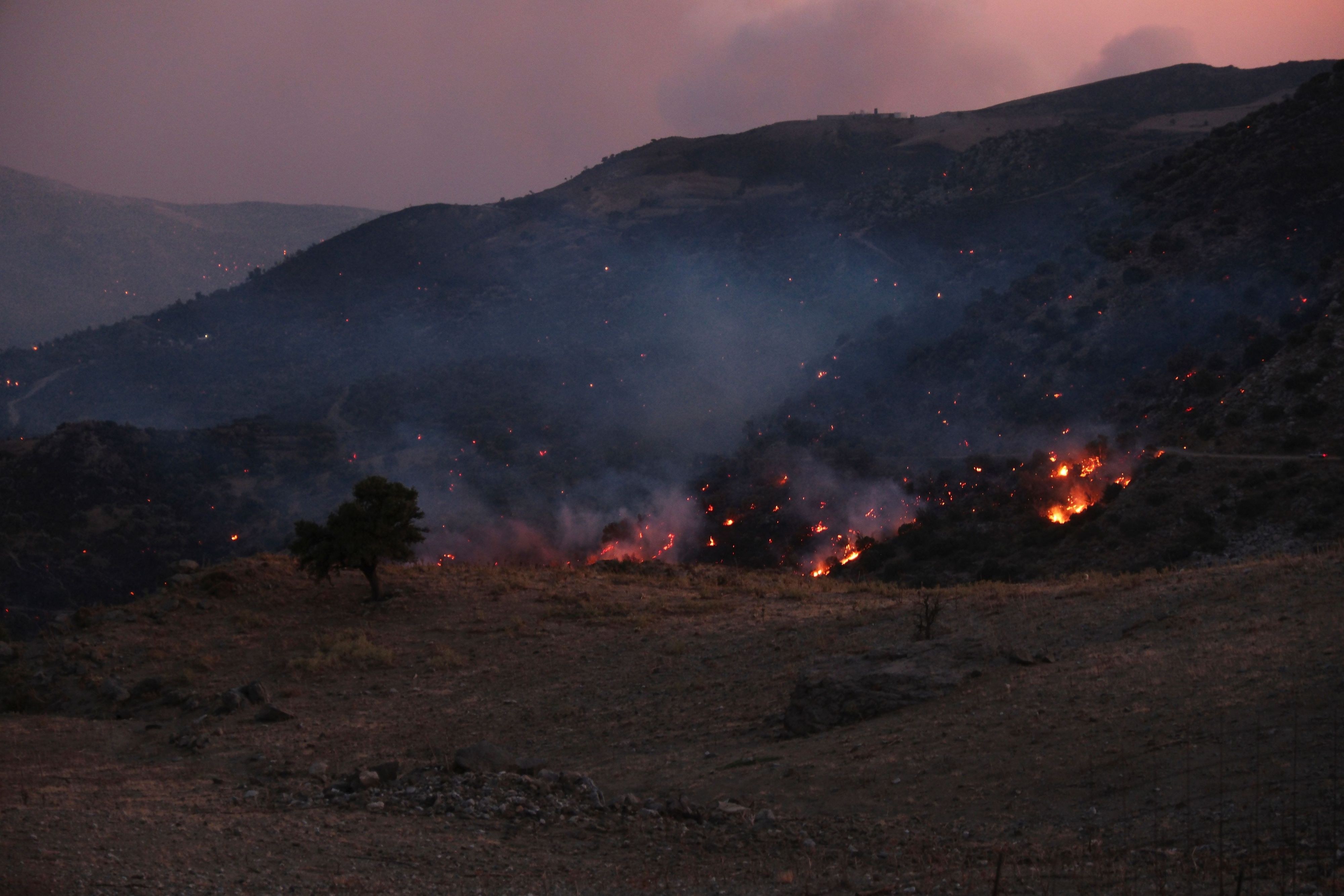 Ein Waldbrand wütet in der Region Rethymno auf der südgriechischen Insel Kreta.