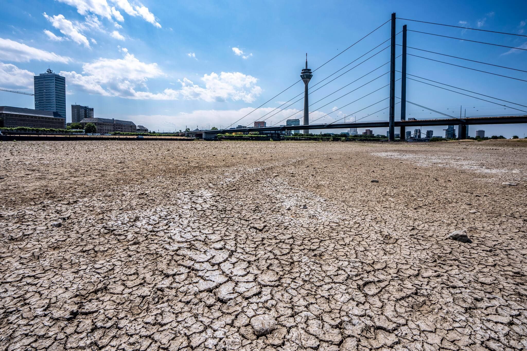 Vertrocknetes Flussbett, brüchige Schollen: extremes Niedrigwasser im Rhein in Düsseldorf.