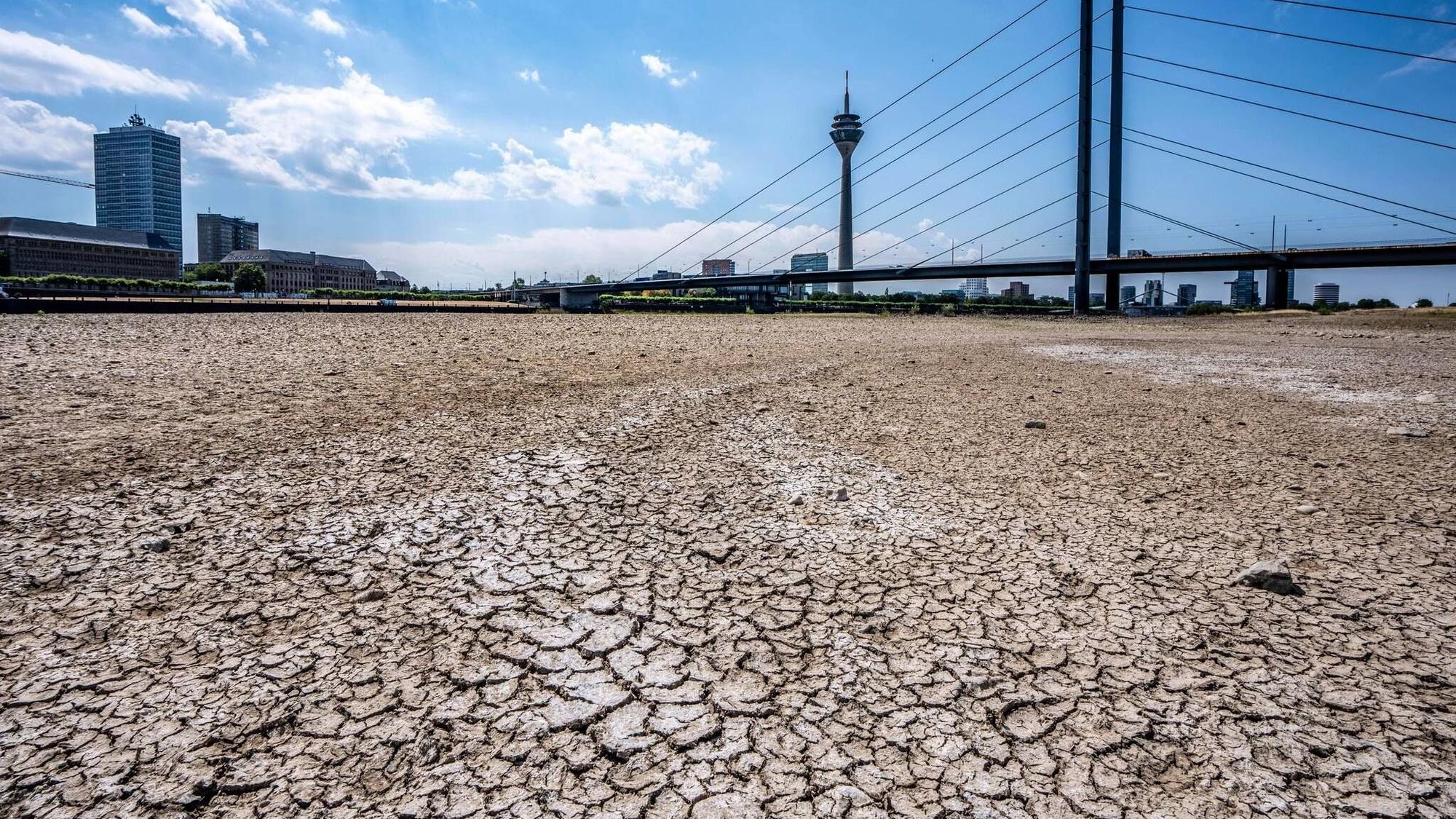 Vertrocknetes Flussbett, brüchige Schollen: extremes Niedrigwasser im Rhein in Düsseldorf.