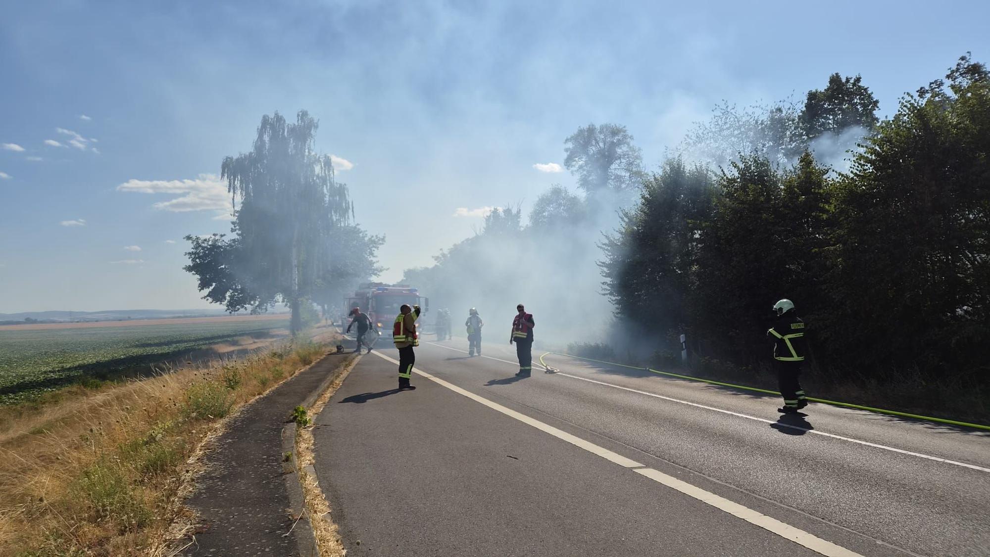 Das Bild zeigt Feuerwehrleute auf der Straße. Im Hintergrund brennt ein Stück Wald.