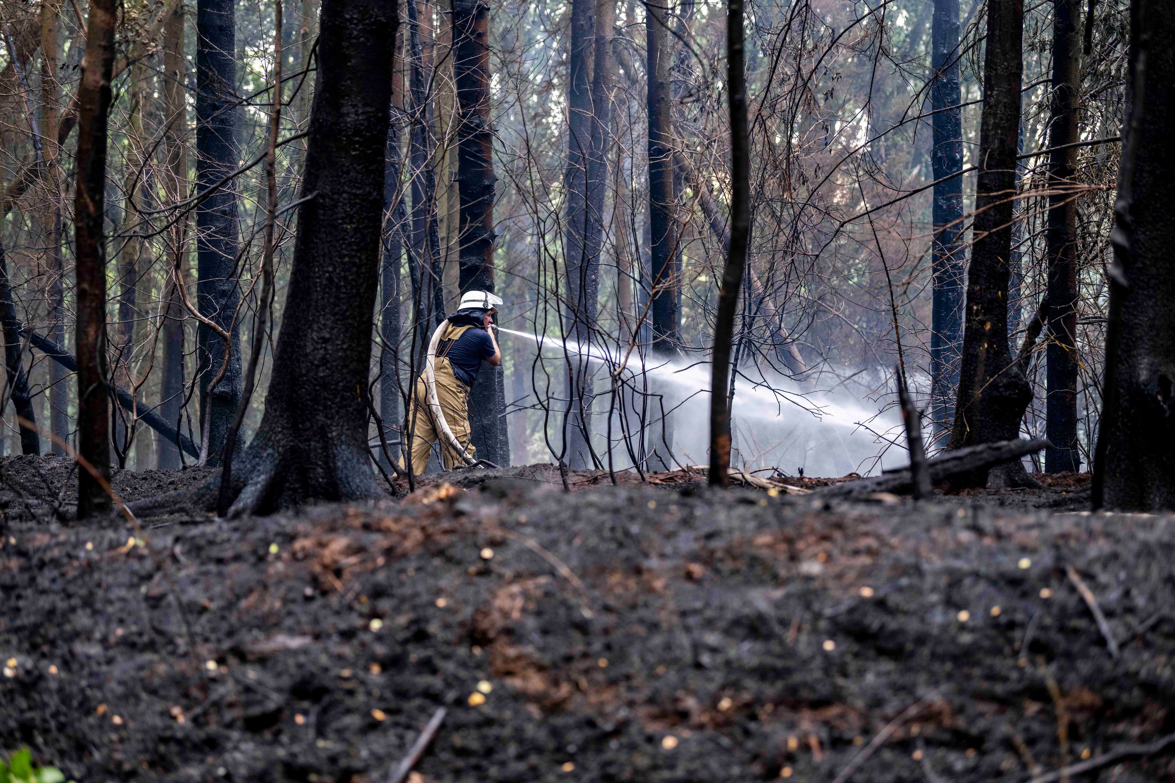 Zahlreiche Feuerwehrleute waren in Mechernich im Einsatz. Das Bild zeigt einen Feuerwehrmann, der den Waldbrand löscht.