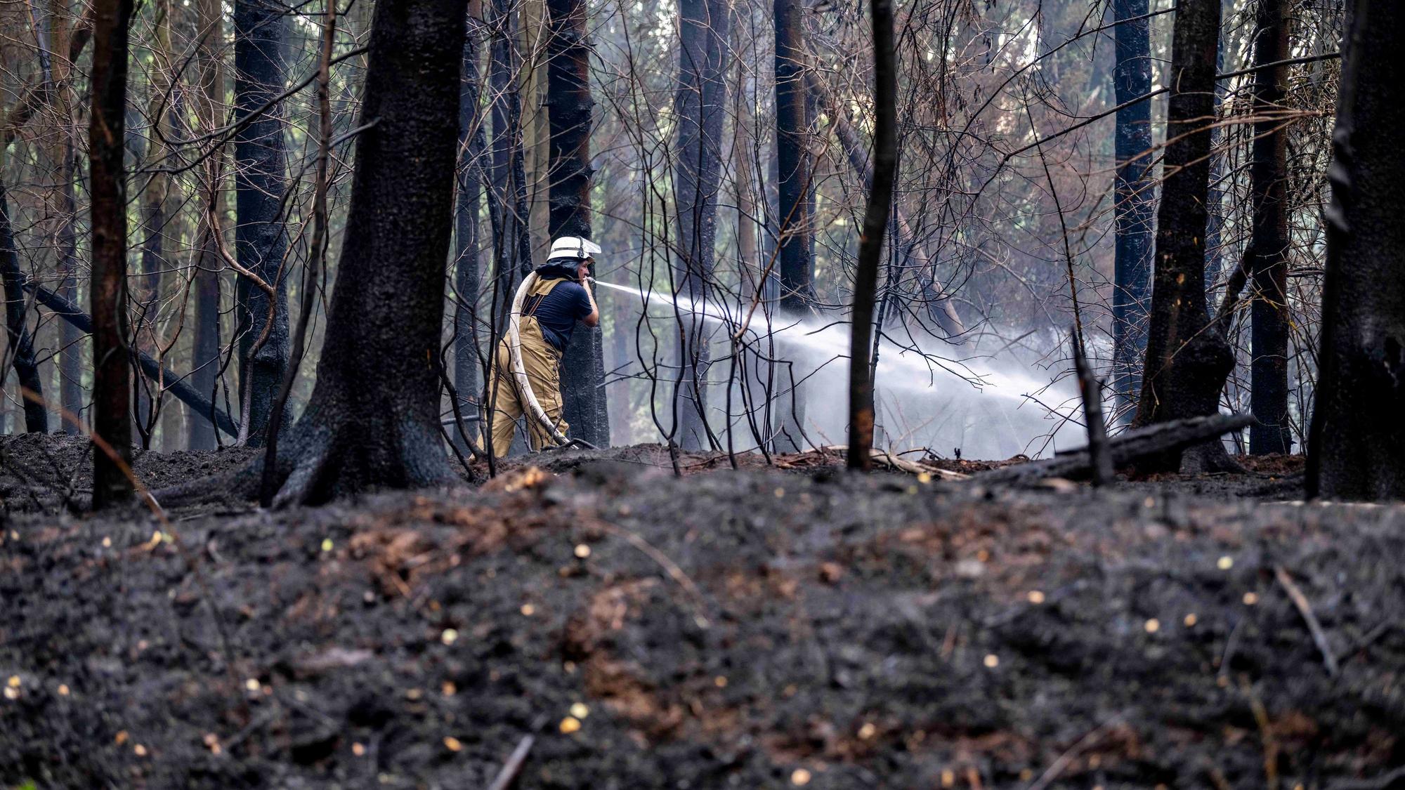 Zahlreiche Feuerwehrleute waren in Mechernich im Einsatz. Das Bild zeigt einen Feuerwehrmann, der den Waldbrand löscht.
