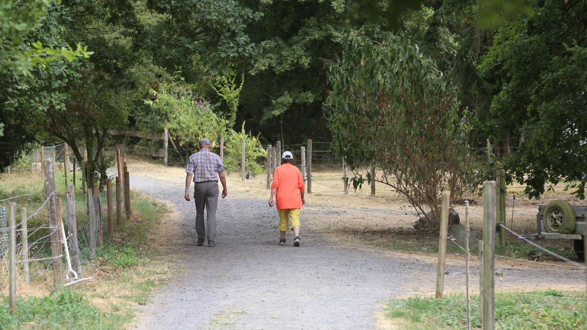 Zwei Spaziergänger auf einem Feldweg.