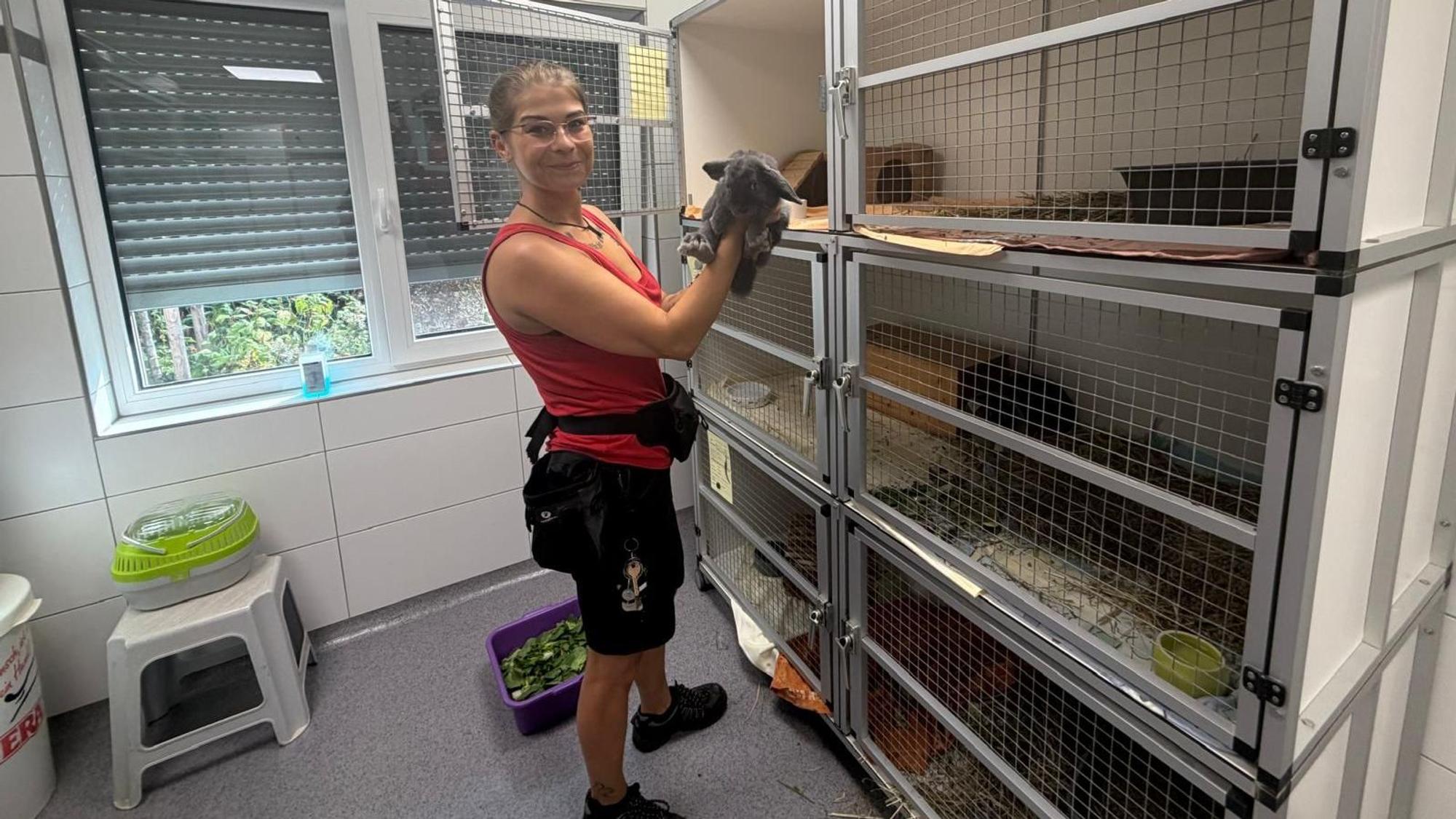 Bei hohen Temperaturen brauchen auch die kleinsten Bewohner des Tierheims besondere Aufmerksamkeit von Gina Waldinger und ihren Kolleginnen.