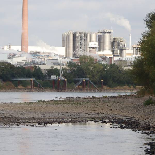 Das aktuelle Niedrigwasser im Rhein bei Bonn und Rhein-Sieg nähert sich einem Allzeit-Tief.