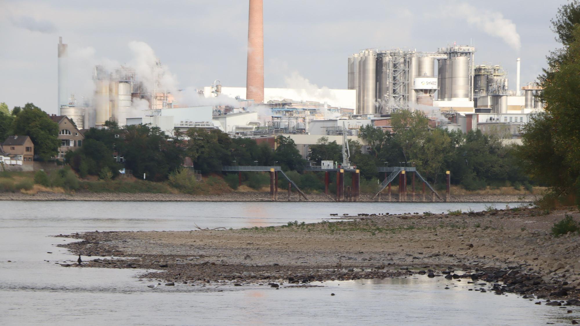 Das aktuelle Niedrigwasser im Rhein bei Bonn und Rhein-Sieg nähert sich einem Allzeit-Tief.