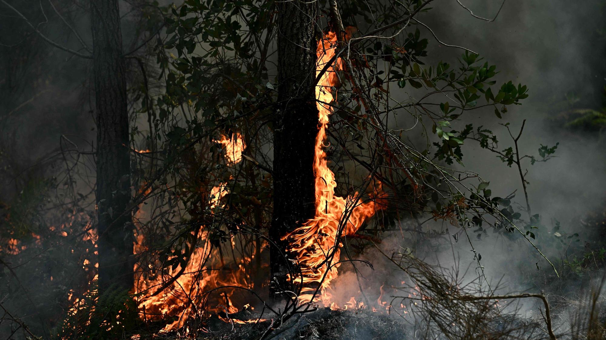 Dieses Foto zeigt brennende Vegetation während eines kontrollierten Feuers von Einsatzkräften in einem Wald bei Le Porge nördlich des Bassin d’Arcachon am 30. Juli 2026.