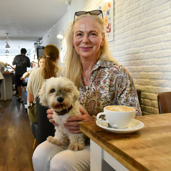 Eine Frau sitzt in einem Café, auf ihrem Schoß ein kleiner Hund.