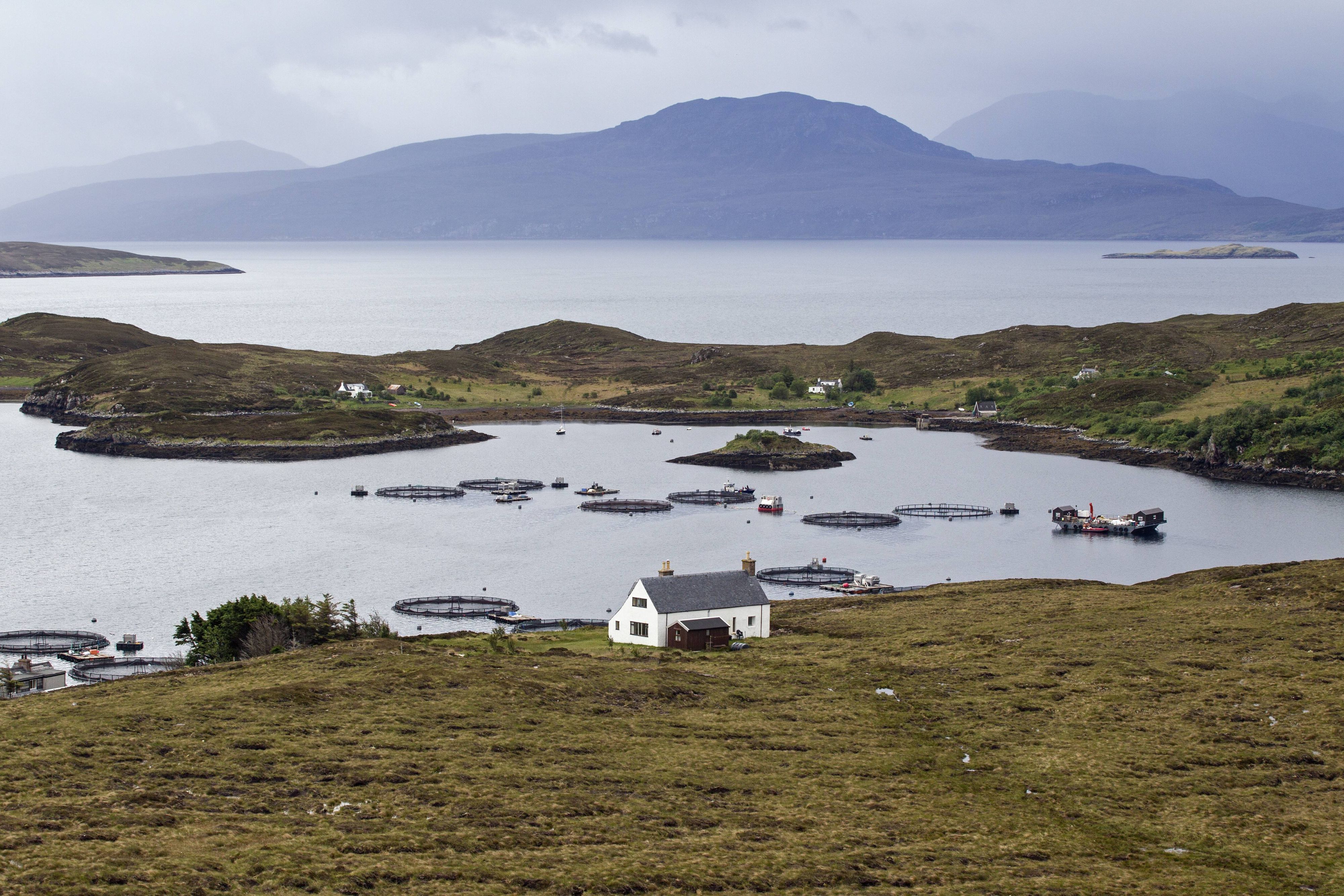 Tanera Mòr