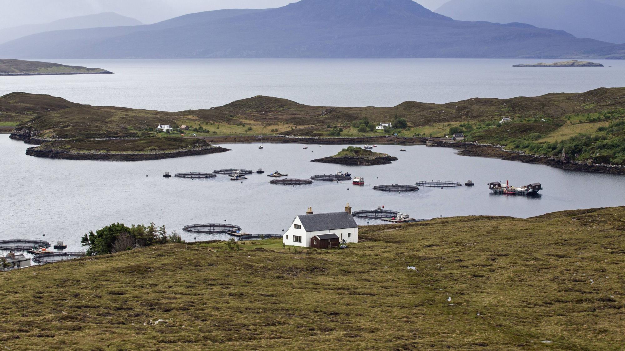 Tanera Mòr