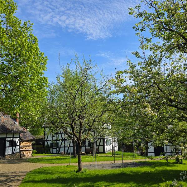 Das Foto zeigt das Außengelände des Bergischen Museums