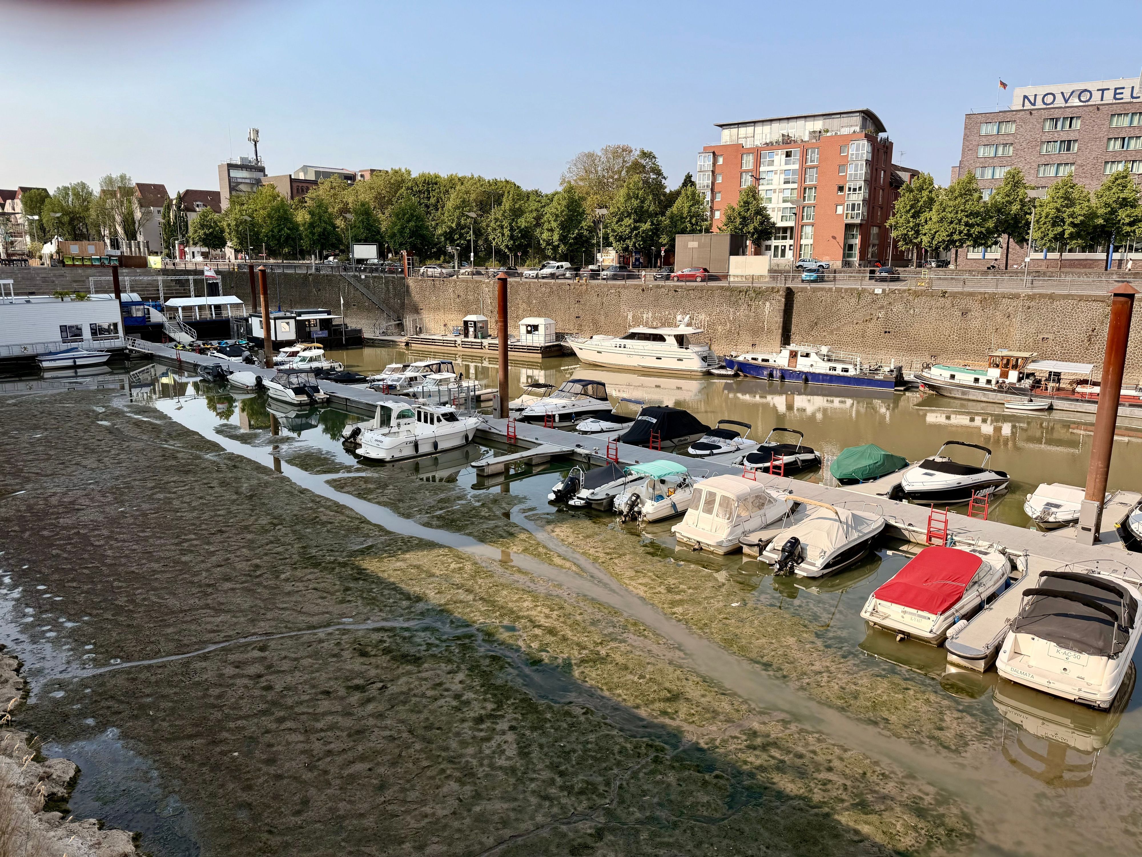 Boote liegen im Rheinauhafen auf Grund. Die Trockenheit sorgt für Tiefstände am Rhein.