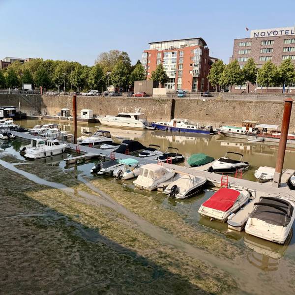 Boote liegen im Rheinauhafen auf Grund. Die Trockenheit sorgt für Tiefstände am Rhein.