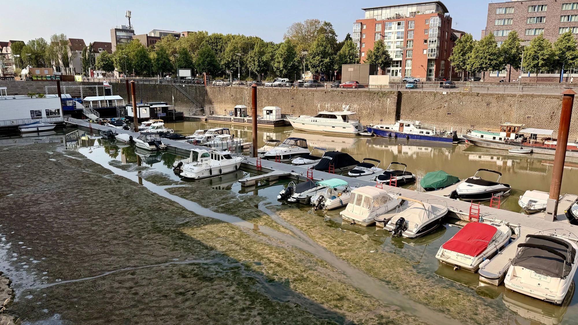 Boote liegen im Rheinauhafen auf Grund. Die Trockenheit sorgt für Tiefstände am Rhein.