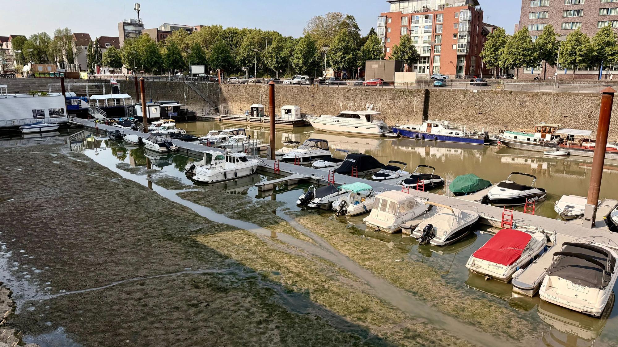 Im Kölner Rheinauhafen liegen Boote auf Grund.